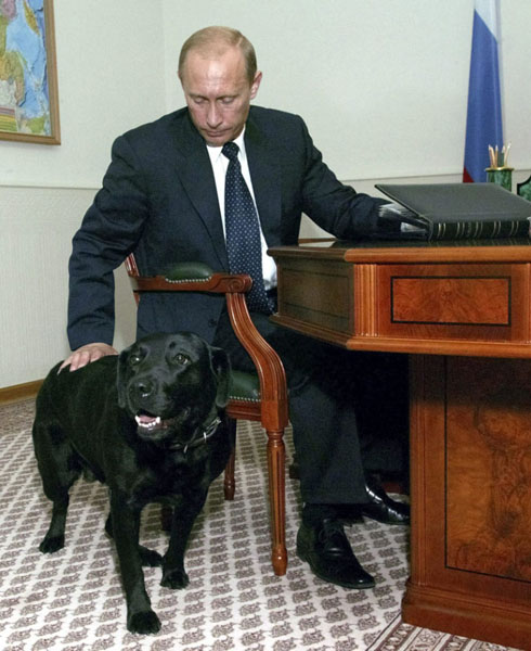 Путин Владимир  и  лабрадор Кони.jpeg