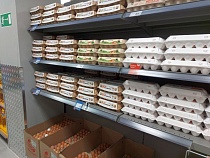 Перед скачком цен выпуск яйца в Калининградской области вырос на 20%