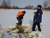 Рыбу под Калининградом спасают бензопилой 