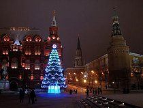 17 декабря Дмитров подарит елку для Кремля 