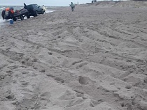 В Янтарном зверски уничтожают пляж