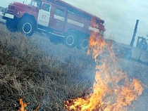 За сутки в Калининградской области выгорело 38 гектаров прошлогодней травы