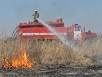 С начала года пожарные 305 раз выезжали на тушение горящей травы