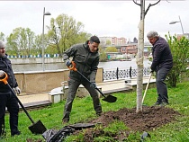 Алиханов надеется на возвращение Калининграду славы города-сада