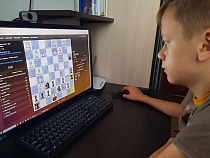 Калининградские шахматисты разгромили соперников в блице
