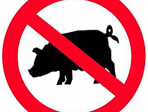В Калининградскую область 11 раз пытались ввезти запрещенное мясо свиней