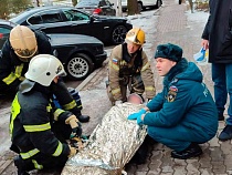 На улице Кирова мужчина внезапно упал посреди проезжей части