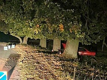 Покатушки на «Ауди-100» по Багратионовскому району обломались об дерево