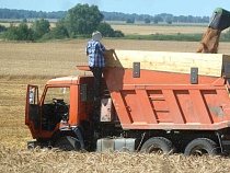 Калининградская область начала поставки пшеницы в Венесуэлу 