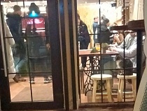 В разных кафе Зеленоградска заметили ещё нескольких котов на ПМЖ