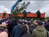 В Калининграде устроили давку за халявными ёлками 