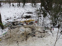 В 3 км от границы с Польшей на заброшенном участке нашли тушку телёнка