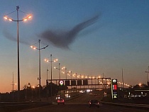 Над Калининградом зависла огромная птица из облаков