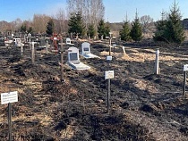 В Советске подожгли траву и вместе с ней кладбище