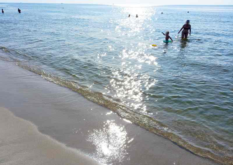 Море в калининграде какое название температура воды фото