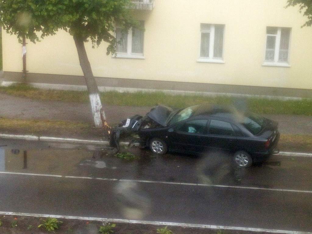 В Светлом пьяный водитель врезался в дерево и скрылся - соцсети