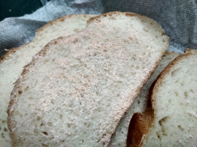 Кусочек хлеба с плесенью. Белая плесень на хлебе. Плесневение хлеба. Белая Хлебная плесень. Плесневый батон.