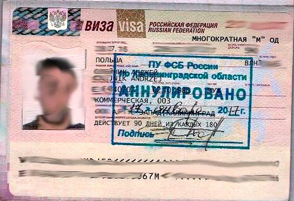 Почему не дали визу. Российская виза. Аннулированная виза. Виза в Россию. Виза РФ.