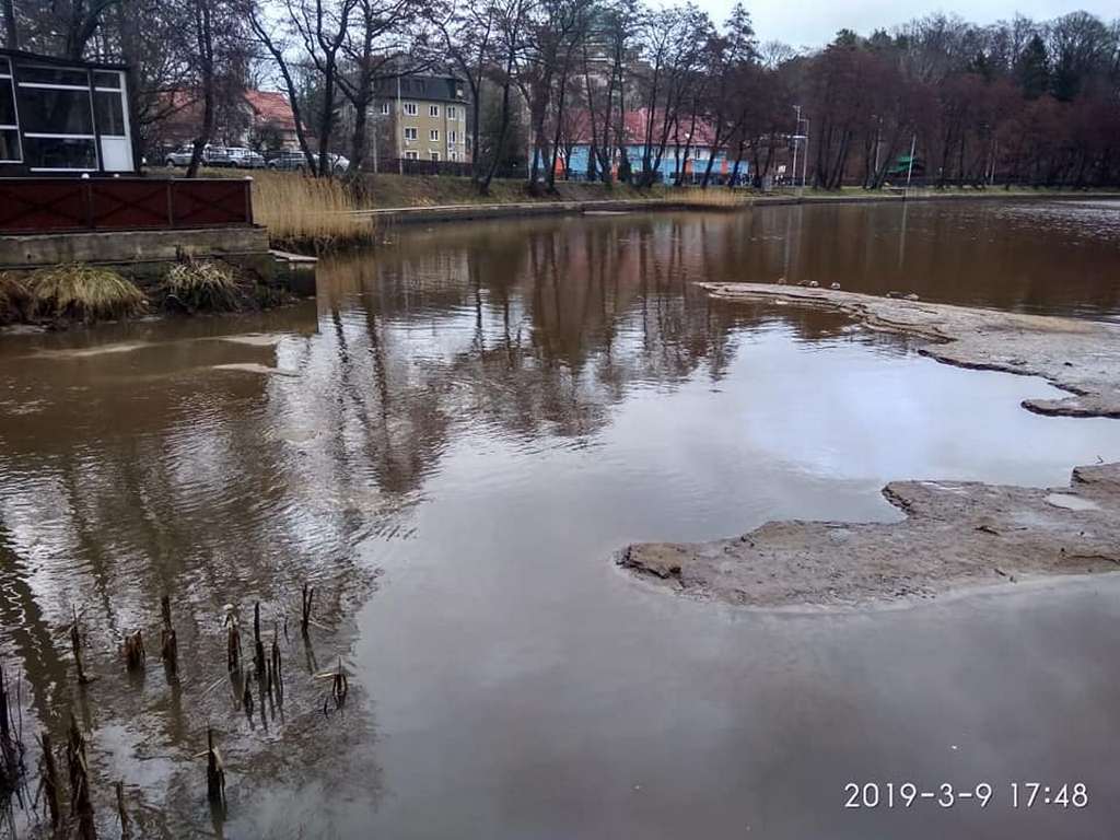 Озеро в центре Светлогорска катастрофически обмелело - соцсети (фото)