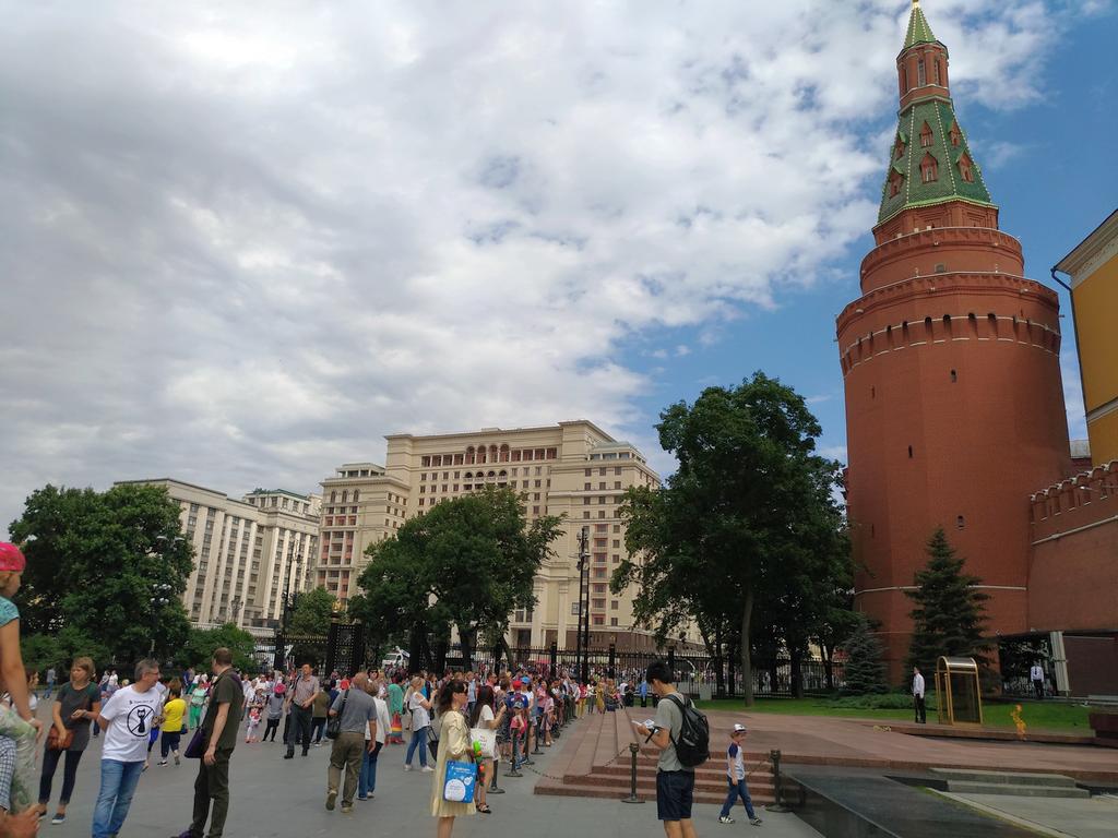 Гадюка в калининградской области фото