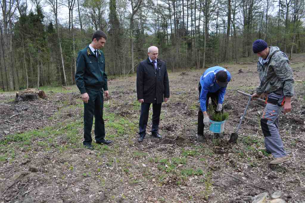 Александр зыков зам министра лесного хозяйства. Агентство лесного хозяйства калининградской области. Агентство лесного хозяйства калининградской области. Лесное хозяйство смоленской области. Лесхоз калининграда.
