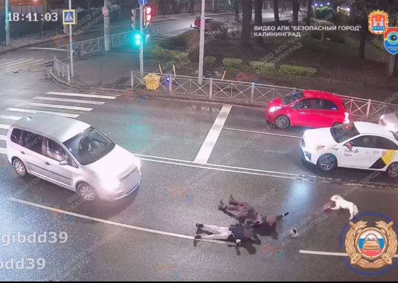 В Калининграде 62-летний сбил двух людей с собачкой