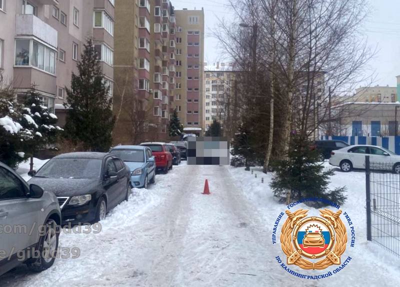 В Калининграде школьница ушла с места наезда на Громовой