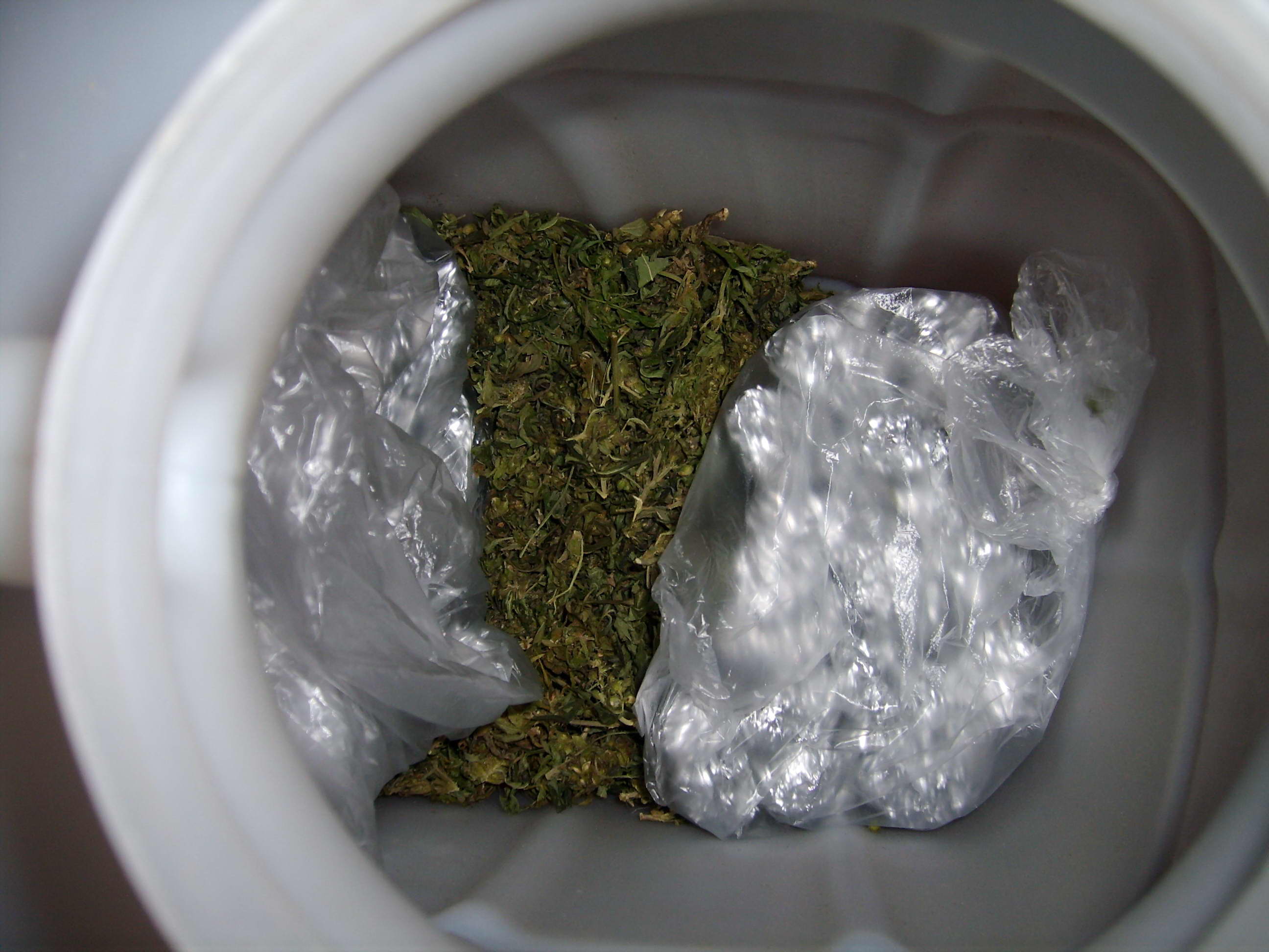 7 грамма марихуаны на почте нашли наркотики