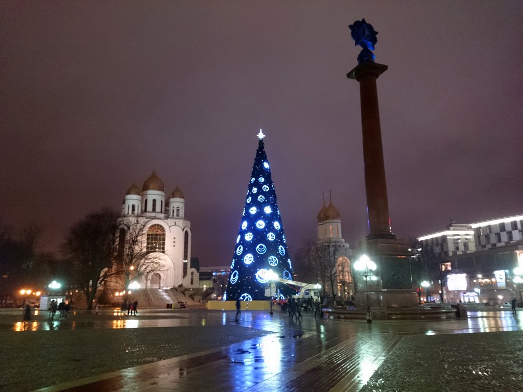 Ели калининград. Елка на площади Победы в Калининграде. Калининград площадь Победы зима. Площадь Победы Калининград новый год. Площадь Победы Калининград зимой.