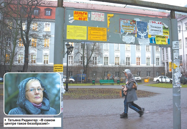 Татьяна Редингер возмущена разгулом нелегальной рекламы и вандализма в центре Калининграда.jpg