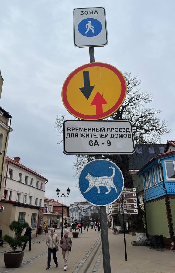 Знак движение котиков разрешено в Зеленоградске.jpeg