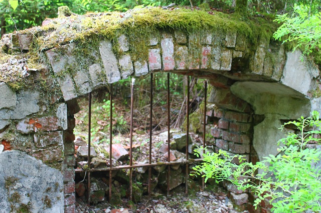 Руины Имперского охотничьего поместья на Виштынце.jpg