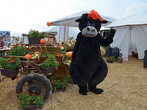 Правительство Калининградской области наградило журналистов, пишущих на аграрные темы