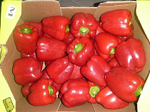 Под Калининградом уничтожили очередную партию «санкционки» весом 7 тонн