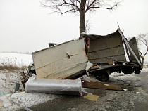 Дерево разорвало фургон с мебелью пополам