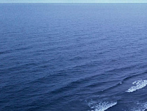 По пути в Сирию разбился российский Ту-154 (список погибших)