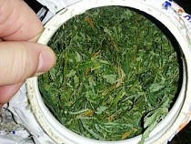 50-летний житель Пионерского попался полиции с пакетом конопли