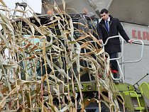 Калининградские аграрии продают кукурузу в странах ЕС