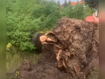 В Железнодорожном шторм вырвал с корнем дубы и отрубил электричество