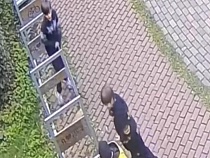 Родители вписались за своих детей в Светлогорске