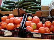 Алиханов объяснил требование QR-кода на входе в продуктовые магазины 