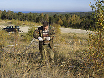 После пожара на Куршской косе высаживают 7005 сосен