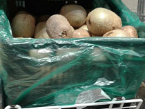 В соцсетях сообщили о порченых и неспелых киви в «Виктории» (видео)