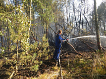 В национальном парке под Калининградом все еще сохраняется угроза пожара