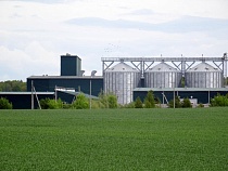 В Правдинском районе анонсировали дни чистейшего воздуха