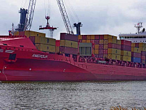 Россельхознадзор досматривает груз африканского контейнеровоза (видео)