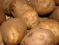 Картофельные воры быстро сбывали украденное