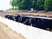 15 инвестпроектов стали резидентами экономической зоны по сниженному порогу