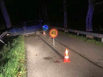 Под Ушаково водитель «Ниссана» получил травмы при ударе об ограждение