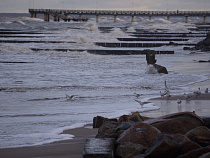 В Зеленоградске прошёл град